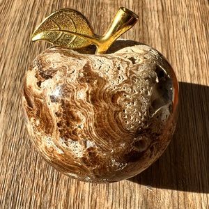 Fossil Coral Stone Apple, 2.5"